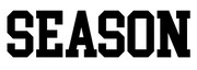 Season International logo